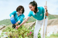 Các cấp Hội phụ nữ tỉnh Bình Định chung tay  xây dựng “Nông thôn mới, đô thị văn minh”