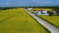 Bộ Nông nghiệp và Môi trường ban hành hướng dẫn thực hiện  một số nội dung tiêu chí, điều kiện thuộc Bộ tiêu chí quốc gia về nông thôn mới  giai đoạn 2026 - 2030 thuộc phạm vi quản lý nhà nước  của Bộ Nông nghiệp và Môi trường
