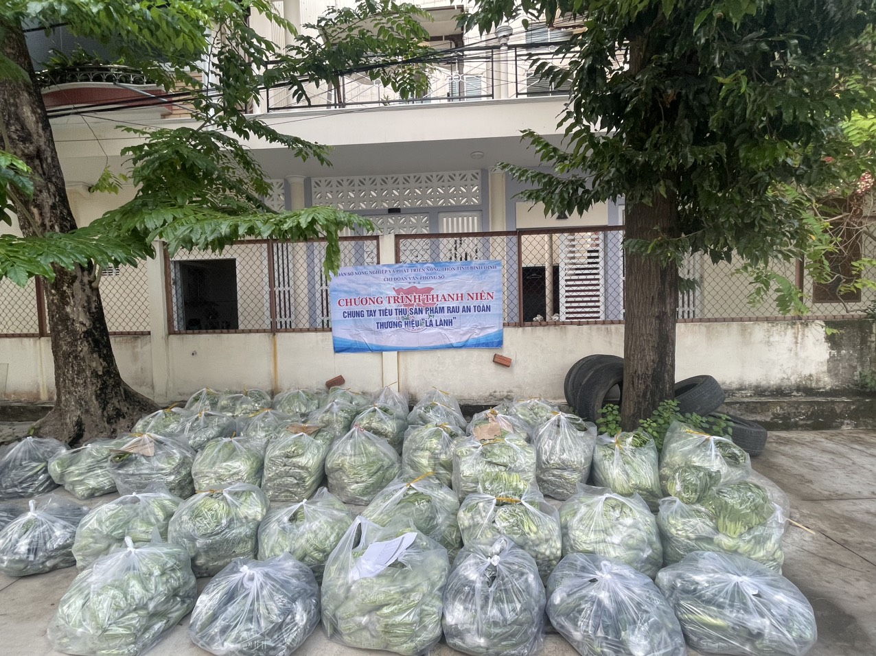 z5647581820271 bf9210e5eed84996ec2830402a27f1be