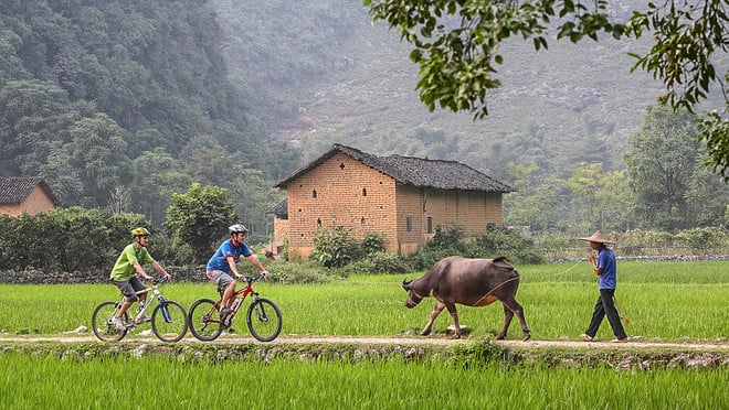 nong dan trung quoc 085246 531