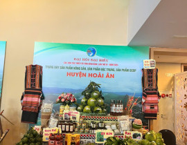 Hoai-An.jpg