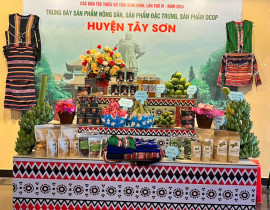 Tay-Son.jpg