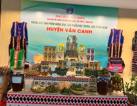 Van-Canh.jpg