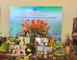 Vinh-Thanh.jpg