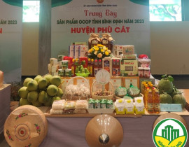 phu-cat.jpg